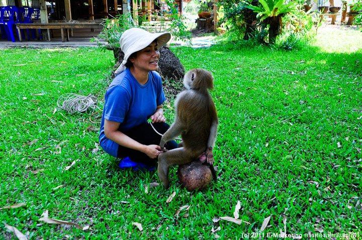 Ruean Thai Nai Bang By Pansak Resort Surat Thani Exterior photo